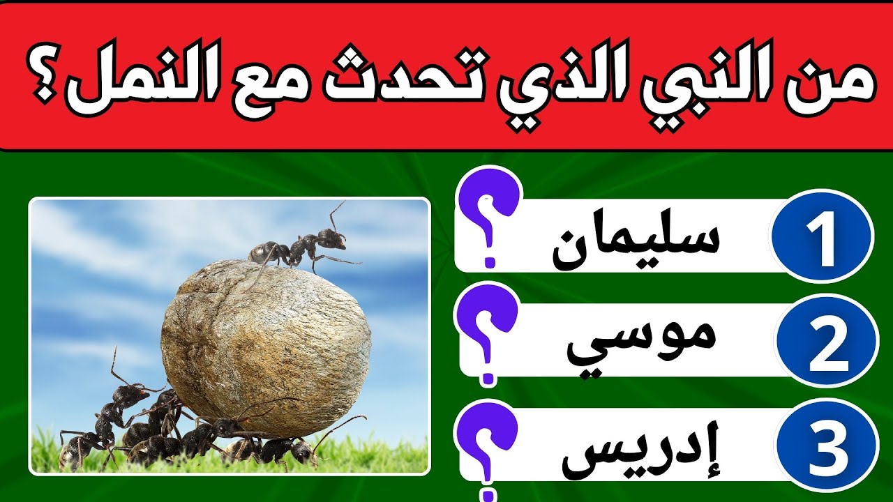 تحدي الثقافة الإسلامية🕌🌟 : 50 سؤالاً عن الأنبياء، القرآن، الصحابة! 📖🤔 هل أنت مستعد؟ 🕋✨