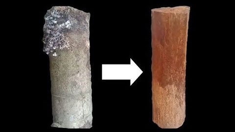 Proses pembuatan tatakan bunga dari kayu busuk jadi keren. Kayu busuk jadi tatakan bunga cantik