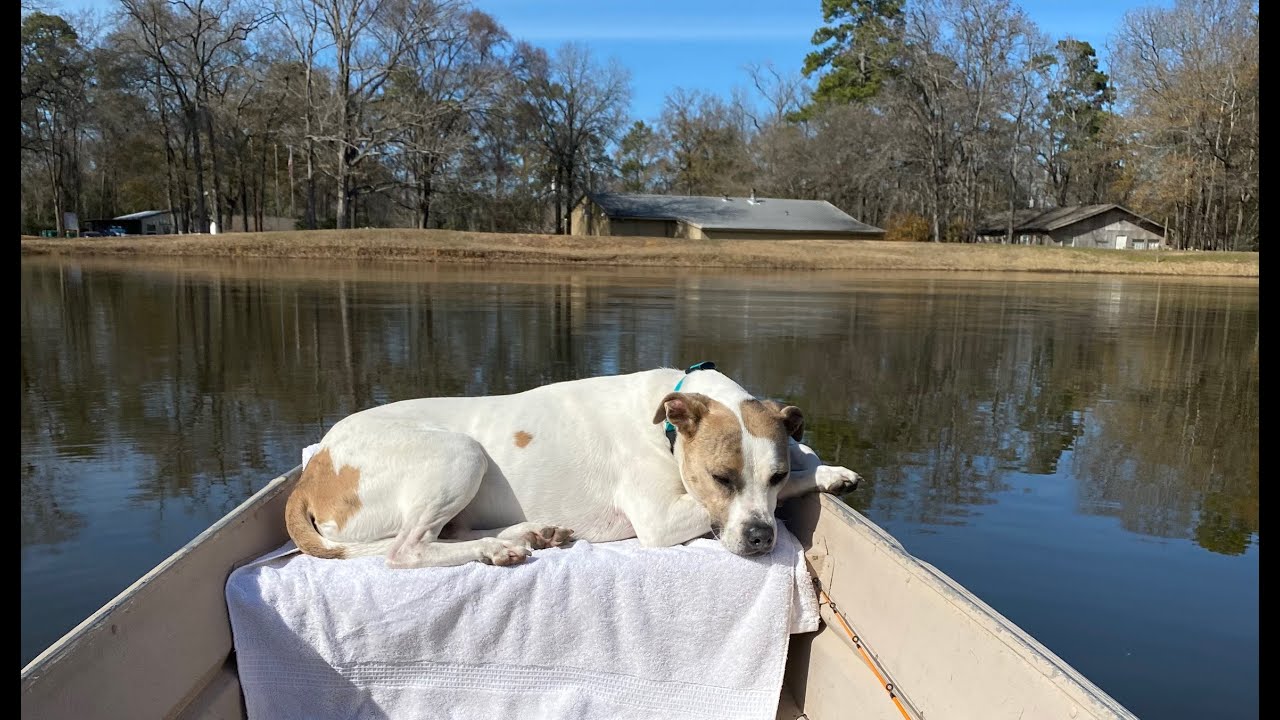Winter Bass Fishing in Southern Texas with My Dog!