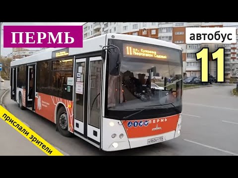 51 маршрут автобуса пермь. 55 Автобус Пермь. 77 Автобус Пермь. 14 Автобус Пермь.