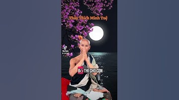 Thầy Thích Minh Tuệ tất cả đều là trò chơi sanh tử luân hồi #thíchminhtuệ #nguyentam