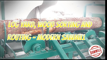 Log yard, wood sorting and routing - [ Modern sawmill ]