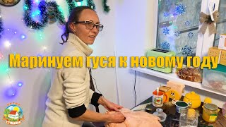 #89 Замариновали гуся к Новому году! / Жизнь в деревне