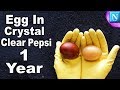 Egg In Crystal Clear Pepsi For 1 Year