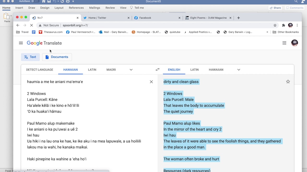 bichon frise google translate