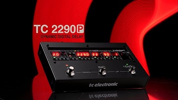 2290 P Dynamic Digital Delay - OFFICIAL VIDEO