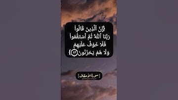 سورة الأحقاف الآية ١١ الى ١٤ بصوت الشيخ محمد صديق المنشاوي