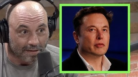 Joe Rogan - Elon Musk Believes We