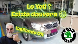 Tagliando e azzeramento spia service Skoda Yeti 2.0 Tdi 4x4
