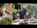 Qu es la turba y en qu puede ayudar a mis plantas  jardinatis