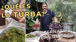 ¿Qué es la TURBA y en qué puede ayudar a mis plantas? // Jardinatis