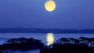 Japan trip #6 The moon seen from the Matsushima 日本の絶景 松島の月