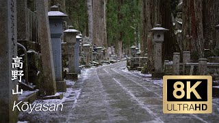 8K - Koyasan in Spring - Wakayama - 高野山