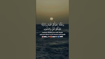 ماهر المعيقلي - سورة البقرة ( برواية حفص عن عاصم ) الأية 55 - 57