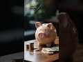 Roof Inspection Tips | Stop Leaks Before They Spread