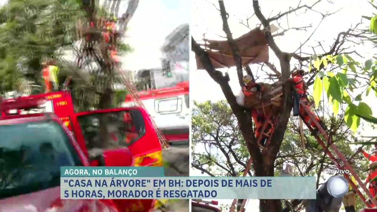 Morador em situação de rua que construiu “casa na árvore” é resgatado em BH
