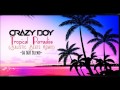 CRAZYBOY - Tropical Paradise (Balistic Beats Remix) - DJ SGR Blend