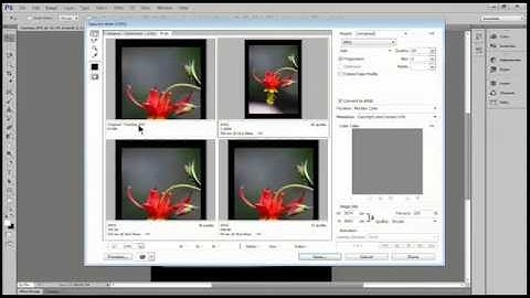 Adobe photoshop cs6 tutorials for beginners - Save an Image for the Web(Part-17)