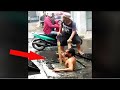 Total idiots at work top funny compilation 2024  top funny fail compilation 189