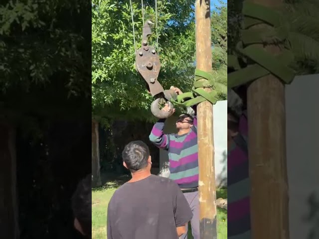 El municipio sigue retirando los postes ilegales de Clarín