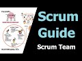 Scrum Guide Illustré -  Scrum Team - Scrum Guide 2020