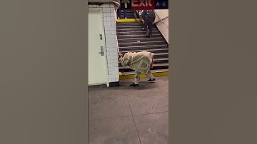 Subway Creatures: Scenes from NYC Subway