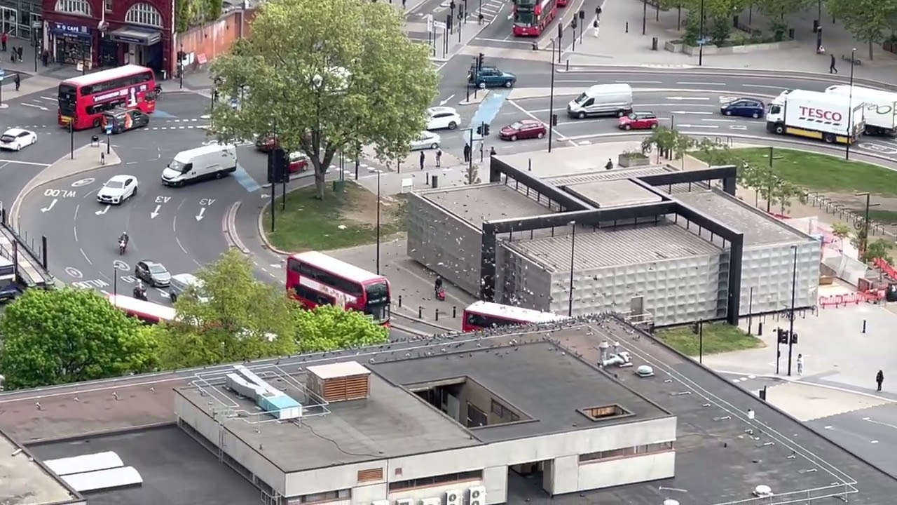 Pigeons Flying in Circles in Elephant & Castle.