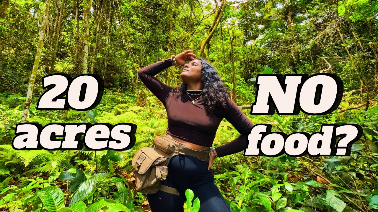 Так много земли и совсем нет еды? Занимаемся кузницей на нашем 20-акровом участке в Портленде, Ям...