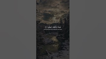 سورة الأنفال❤️ | القارئ ياسر الدوسري🎧#قرآن #الحمدلله #استغفار #الله | اكتب شيئ تؤجر عليه✍️