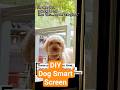 My Dog Opens the Mosquito Screen 🐶 | DIY ESP32 + PIR Project #automation #diy