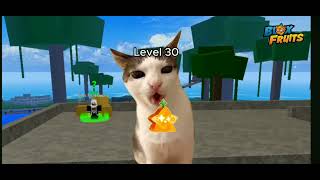 PART1 CAT BLOX FRUIT FOLOW ME PLSS