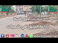 مبادرة لاجل الحياة في شمبات 