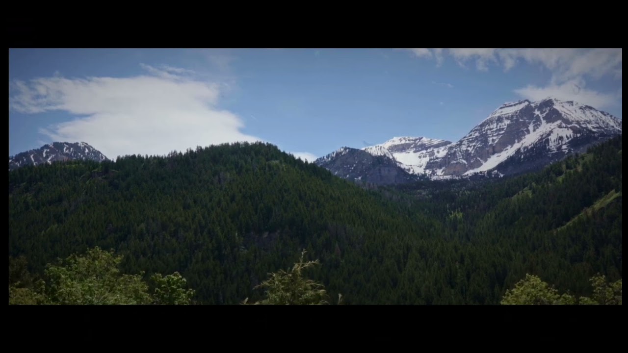 Hogyha újra itt lennél 