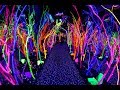 Meow Wolf POV Walkthrough // Santa Fe, NM