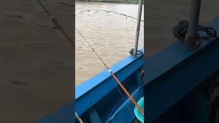 Semngat 3jta View  fyp ytshorts ytviral viral