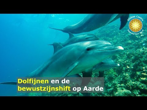 Video: Mysterieus Magisch Ritueel Van Het Lokken Van Dolfijnen - Alternatieve Mening
