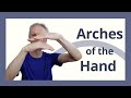 How to bear weight in your hands :  Arches of the hands
