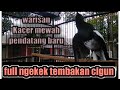 Kacer gacor ngekek tembakan Kolibri cocok untuk pancingan Kacer macet bunyi #ridwankoto #warisan