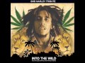 Bob marley tribute into the wild 974 vol3 mix by willy tantudy