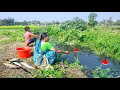 Fishing Video || Grandma teaching his grandson to fishing in the village canal || Best hook fishing
