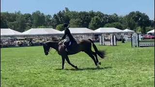 Download Lagu Ren aka Ippon CHJA MP3