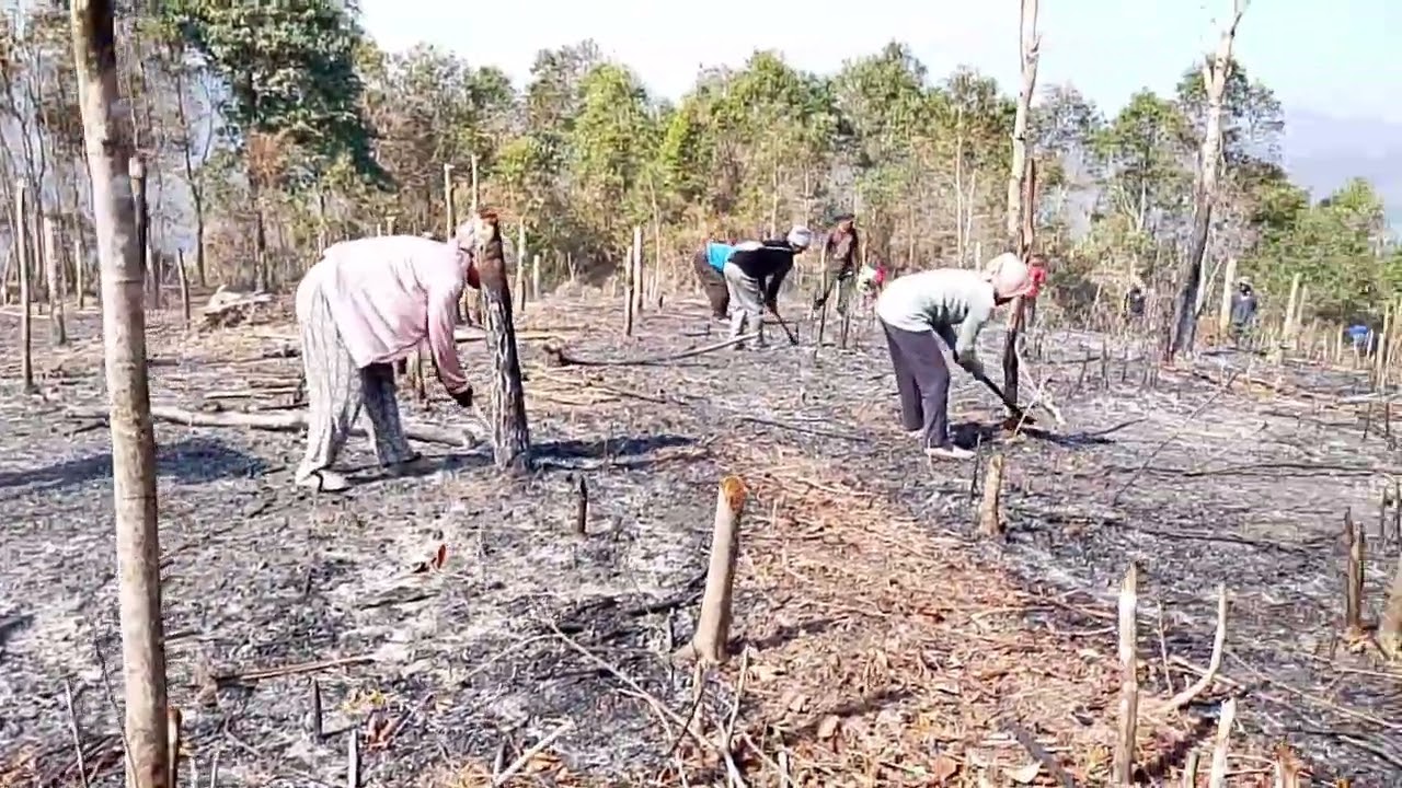 @#Shanynu Town Baptist Fellowship