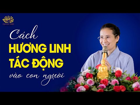 Video: In tác động là gì?