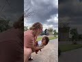 Curious Baby Encounters a Giant Ostrich