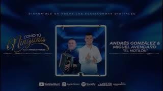 Como tú ninguna - Andrés González & Miguel Avendaño 'El Motilón'