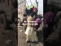 #viraltrending #flyashblocks #brickmachine #builderslife #KMMughal #shorts2026