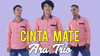 Lagu Batak Paling Sering didengar - CINTA MATE - Ara Trio #lagubatak