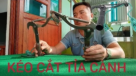 CÂY KÉO CẮT TỈA CÀNH CÂY HÁI HOA QUẢ TRÊN CAO AN TOÀN TIỆN DỤNG CHO MỌI GIA ĐÌNH MẪU MỚI