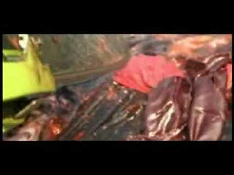 Troma's Wiseguys Vs. Zombies