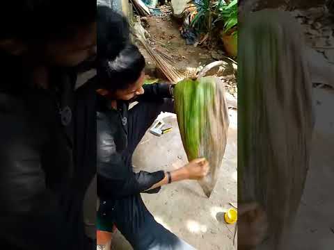 Video: Արիզոնան արմավենիներ ունի՞: